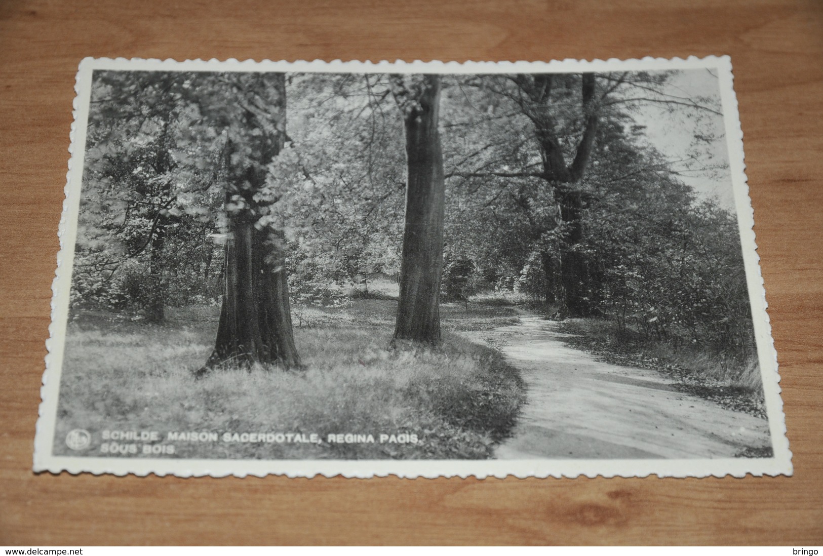 8084-   SCHILDE, MAISON SACERDOTALE, REGINA PACIS, SOUS BOIS - Schilde