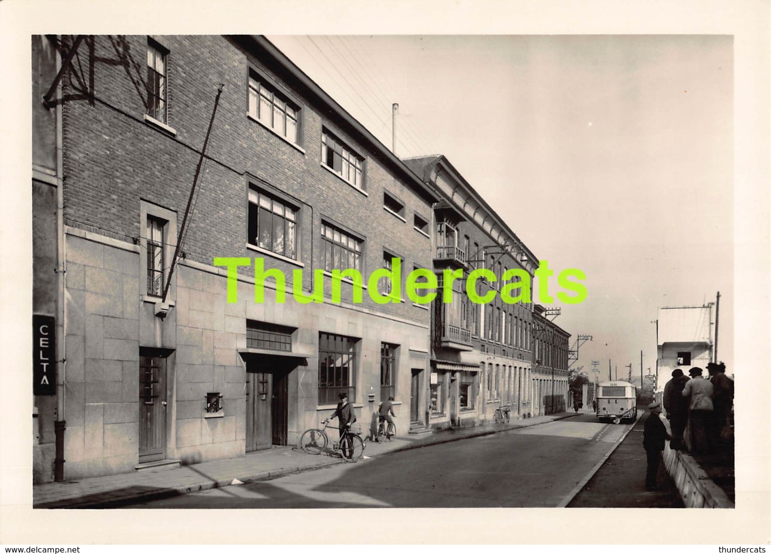 CPSM PHOTO ZOTTEGEM ZOTTEGHEM MUSSELIJSTRAAT RUE MUSSELIJ - Zottegem