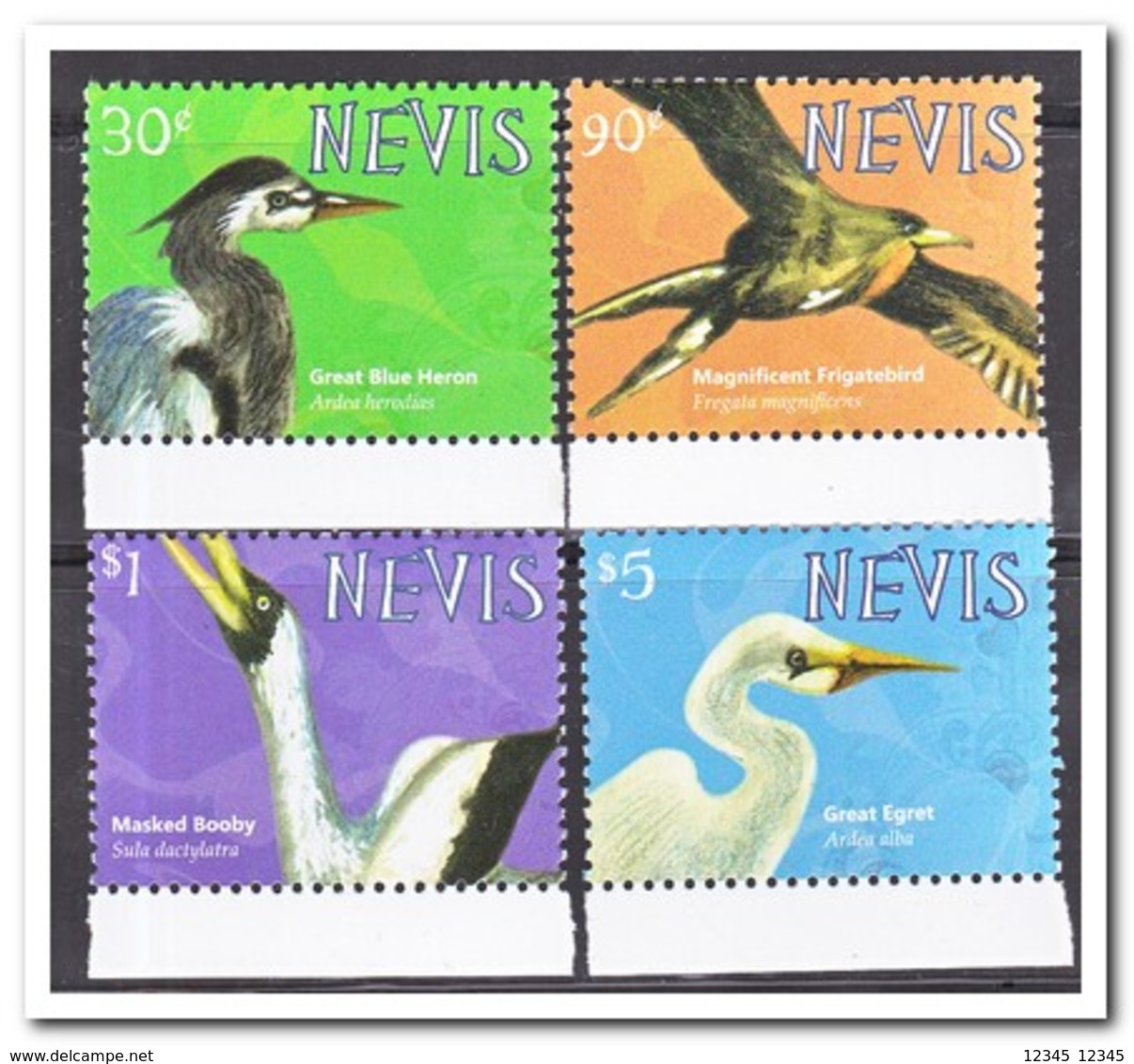 Nevis  2010, Postfris MNH, Birds - St.Kitts En Nevis ( 1983-...)