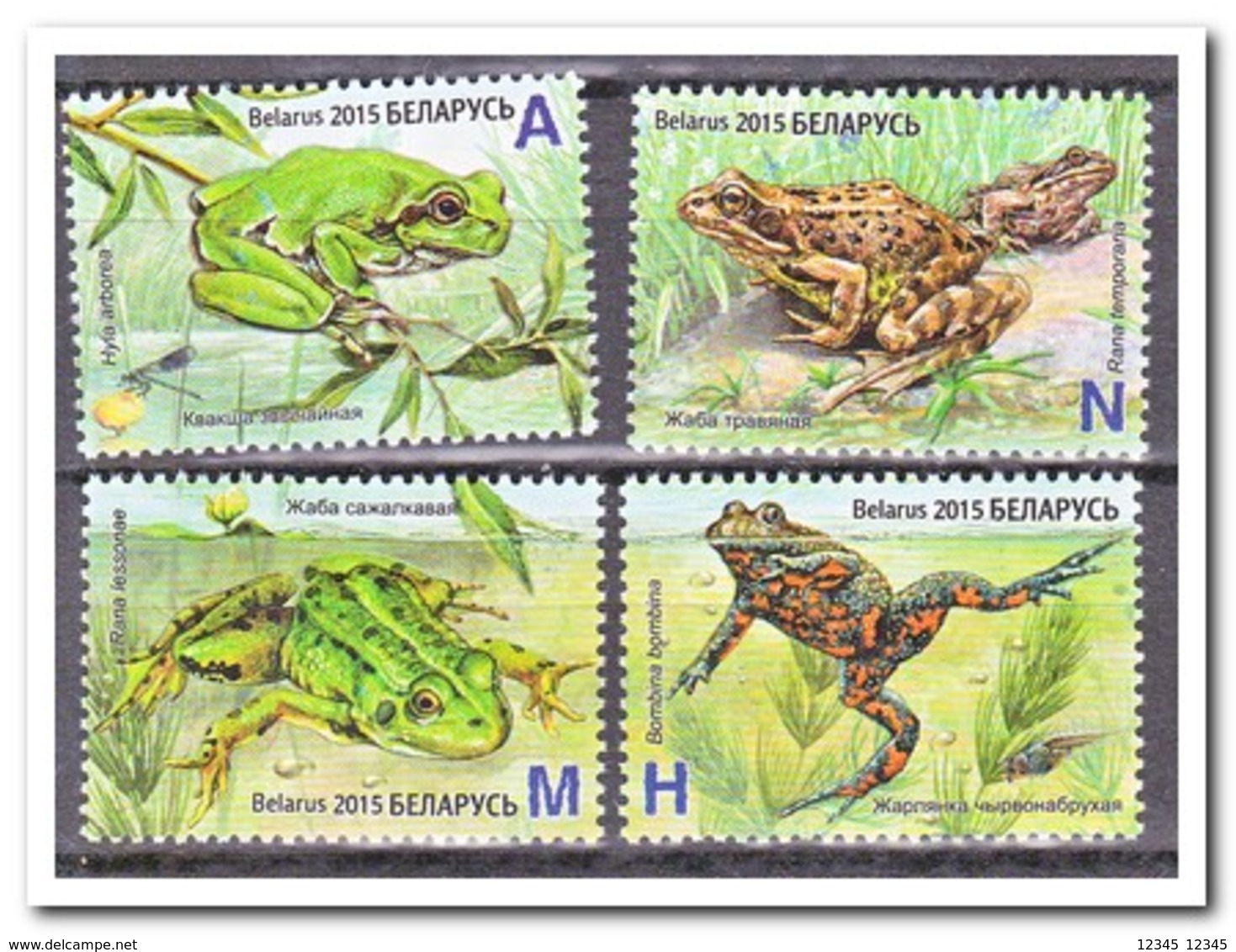 Wit Rusland 2015, Postfris MNH, Frogs, Amphibi - Wit-Rusland