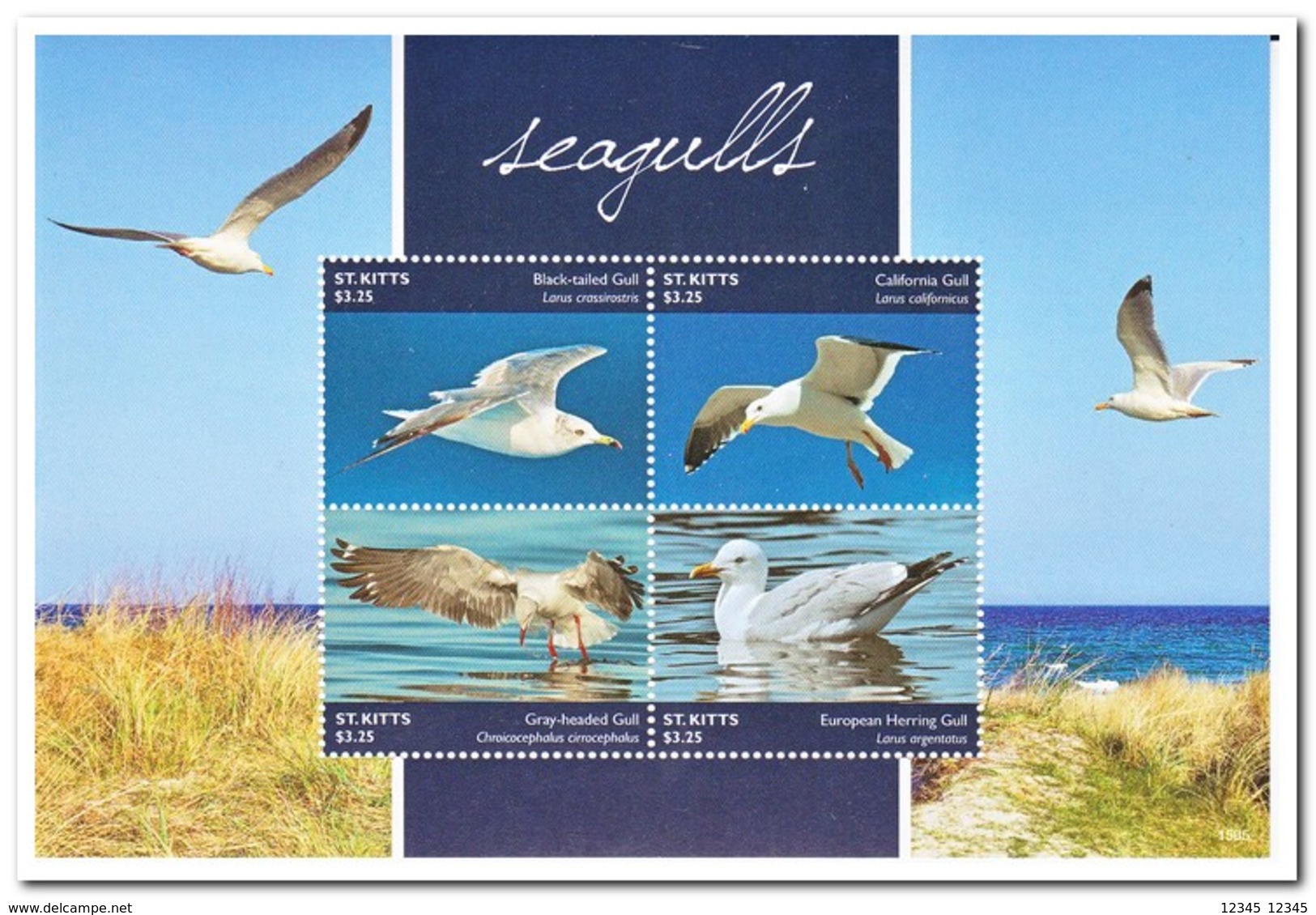 St. Kitts 2015, Postfris MNH, Birds - St.Kitts En Nevis ( 1983-...)