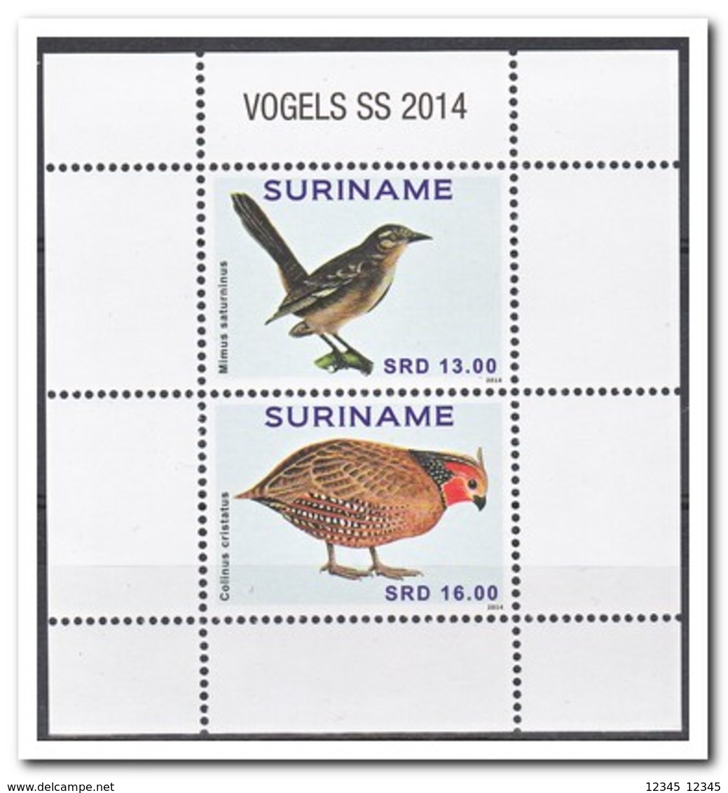 Suriname 2014, Postfris MNH, Birds - Surinam