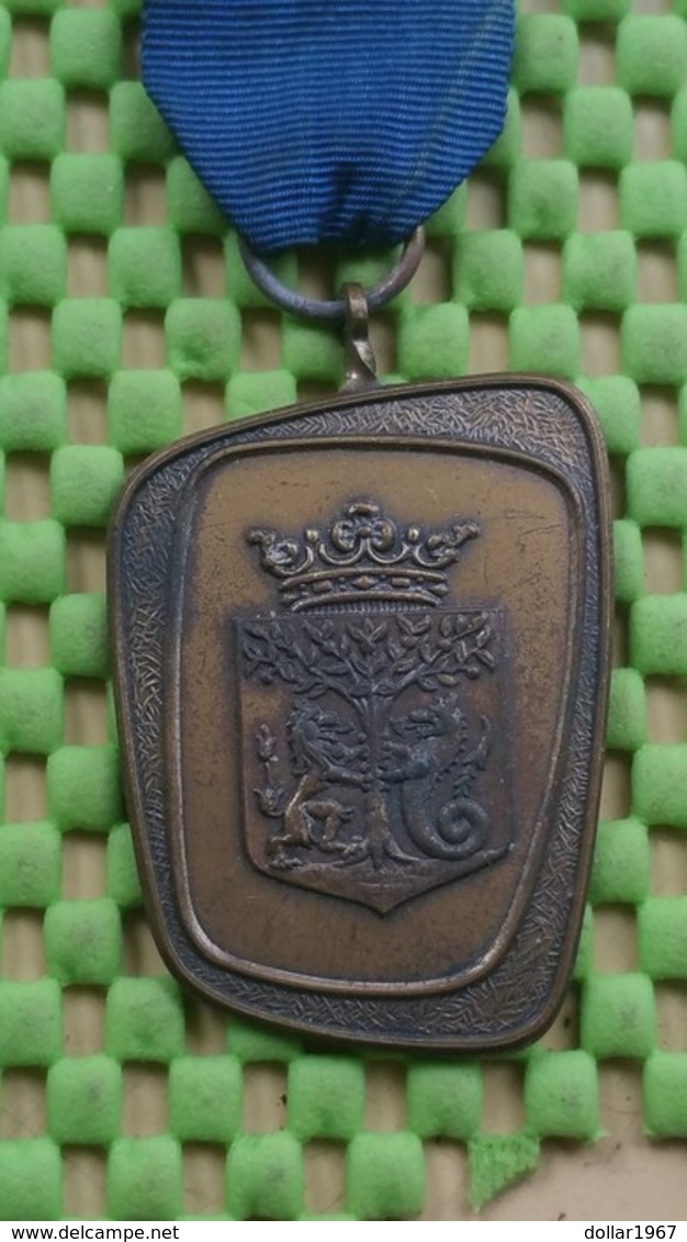 Medaille / Medal - Medaille -"Brandaris " Wandeltochten , Terschelling - The Netherlands - Autres & Non Classés