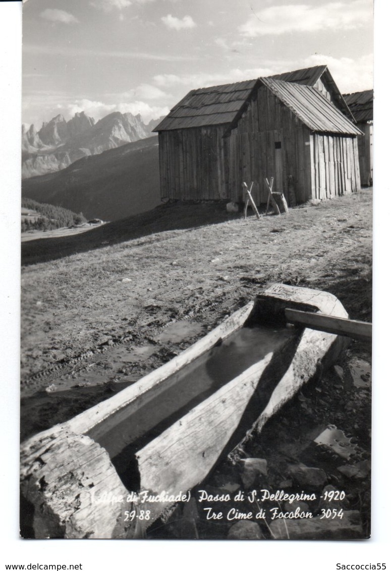 ALPI DI FUCHIADE PASSO SAN PELLEGRINO TRE CIME FOCOBON VIAGG - Trento