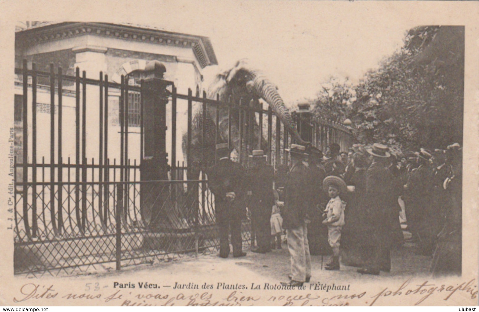 PARIS VECU : Jardin Des Plantes - La Rotonde De L'éléphant. - Lotes Y Colecciones