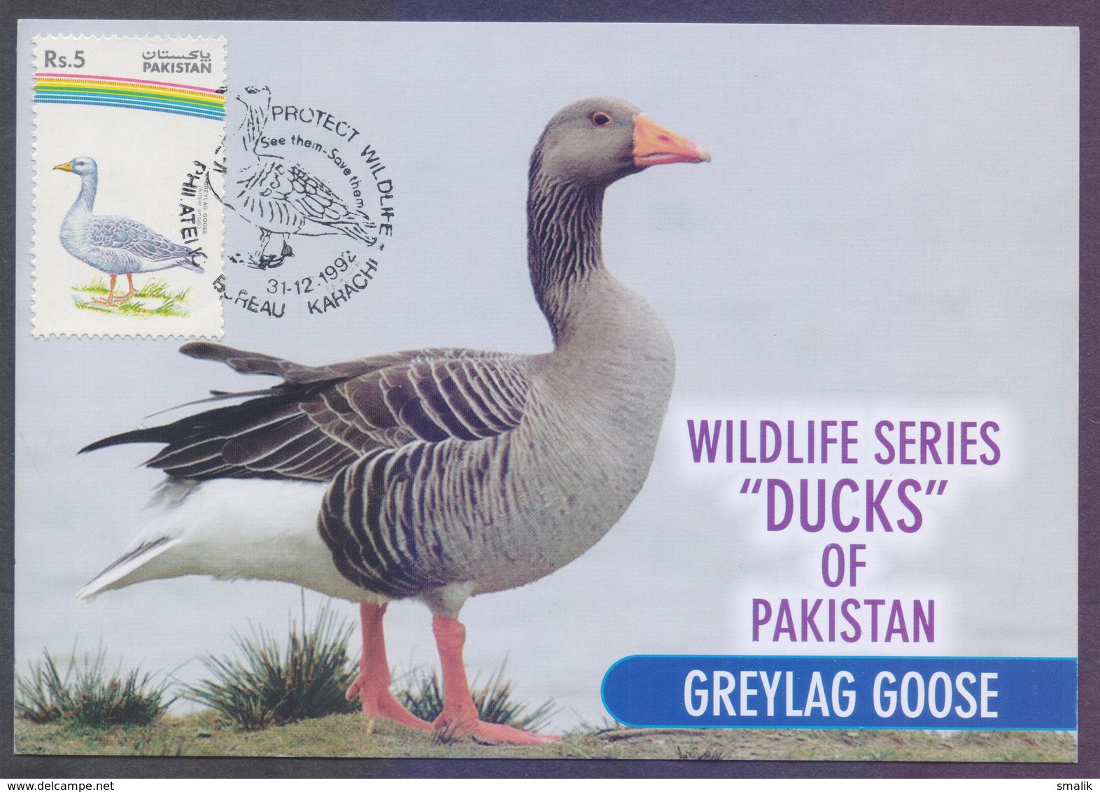 PAKISTAN - MAXIMUM CARD 1992, Birds Protect Wildlife "DUCKS", Complete Set Of 4 Cards - Patos