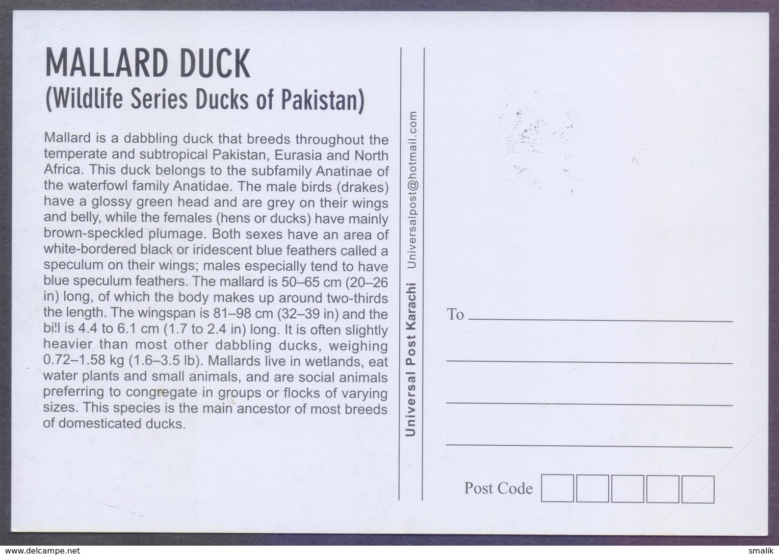 PAKISTAN - MAXIMUM CARD 1992, Birds Protect Wildlife "DUCKS", Complete set of 4 Cards