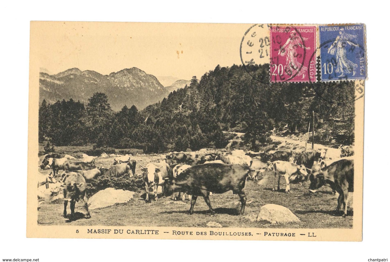 Massif Du Carlitte - Route Des Bouillouses - Paturage - 226 - Andere & Zonder Classificatie