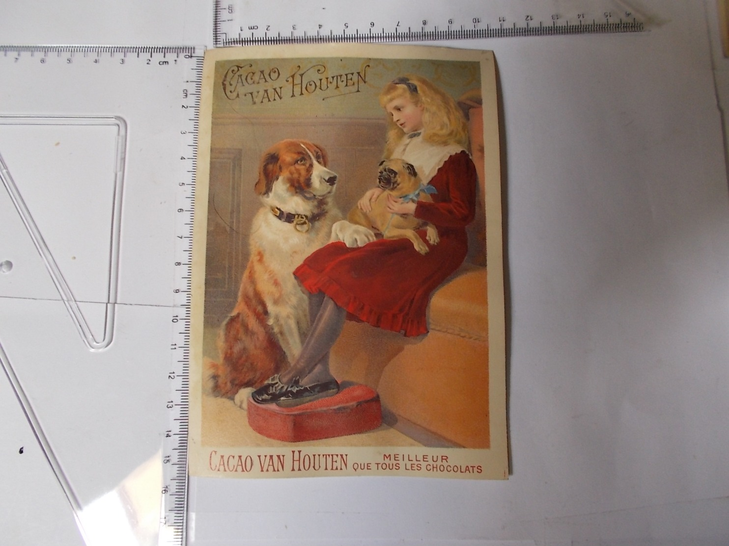 Chromo Cacao Van Houten - Fille, Gros Chien, Carlin, Fauteuil 11x 15 Cm Photo Recto/verso - Van Houten