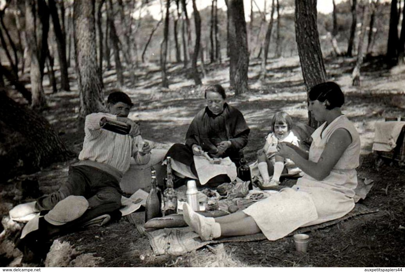 Photo Originale Pique Nique De La Famille Lafon Dans La Forêt De Carry-le-Rouet - Ensuès-la-Redonne (13820) Vers 1930 - Personnes Identifiées