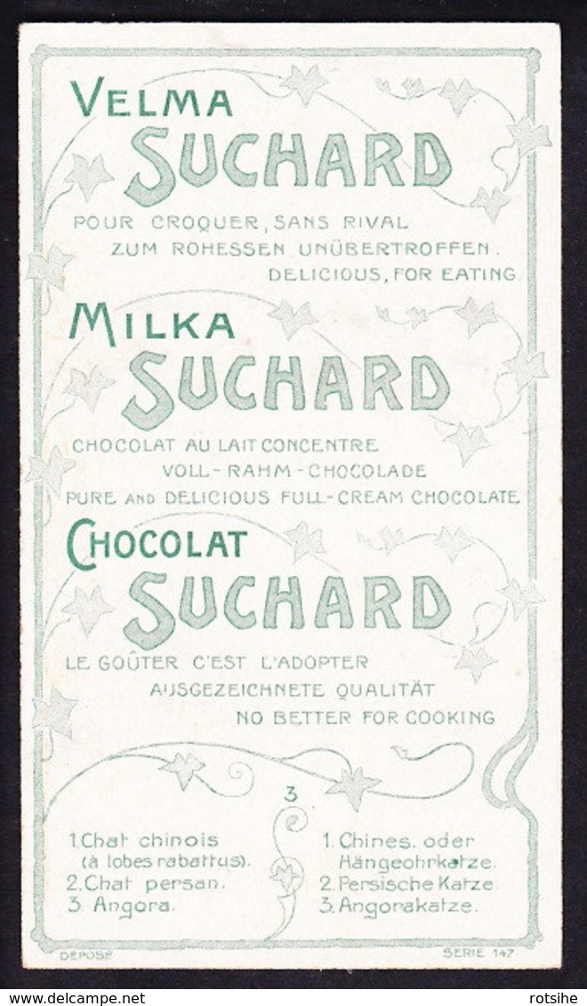 CHROMO Chocolat SUCHARD   Chats    Chinois   Persan  Angora    Serie 147   Cats - Suchard