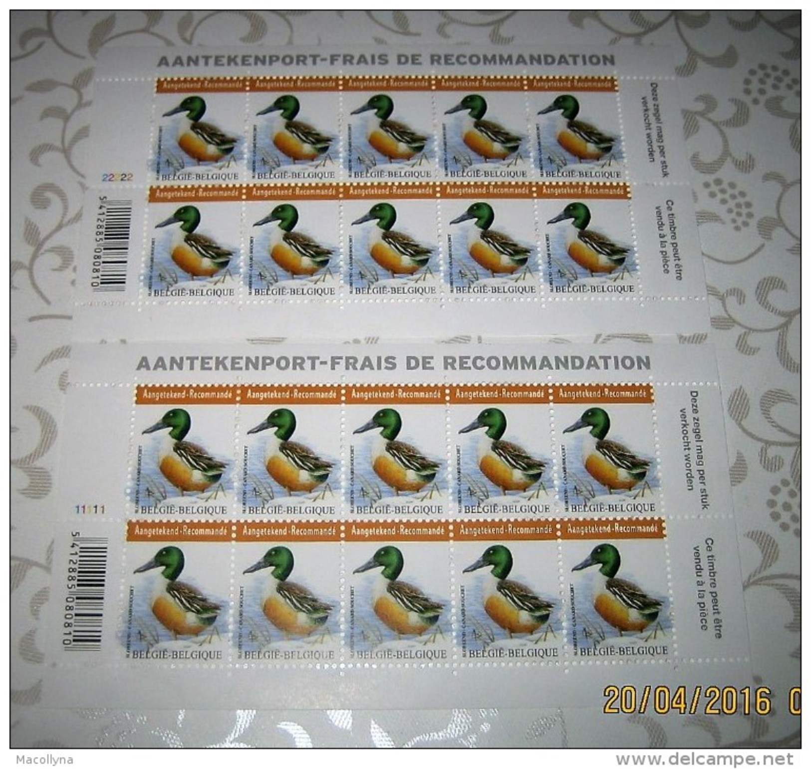 BUZIN  Duck- Canard Souchet- Slobeend- Shoveler** PL 1 & 2 Zegels Voor Aangetekende Zending / Timbres Recommandé - 1985-.. Birds (Buzin)