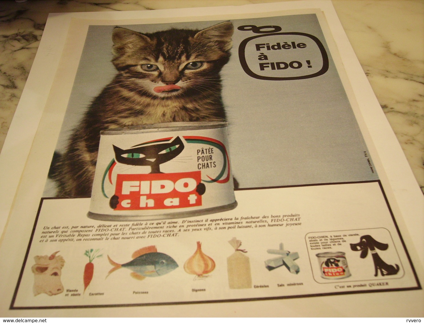 ANCIENNE PUBLICITE FIDELE A FIDO CHAT 1965 - Autres & Non Classés