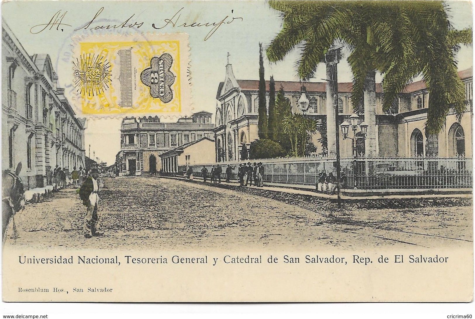 Universidad Nacional, Tesoreria Général Y Catedral De SAN SALVADOR, Rép. De El Salvador. Animée, BE. - El Salvador