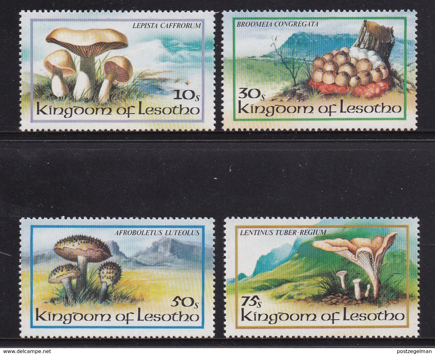 LESOTHO, 1983, Mint Stamps,  Mushrooms, Sasc Nr. Sa411-414, Scannumber 2666 - Lesotho (1966-...)