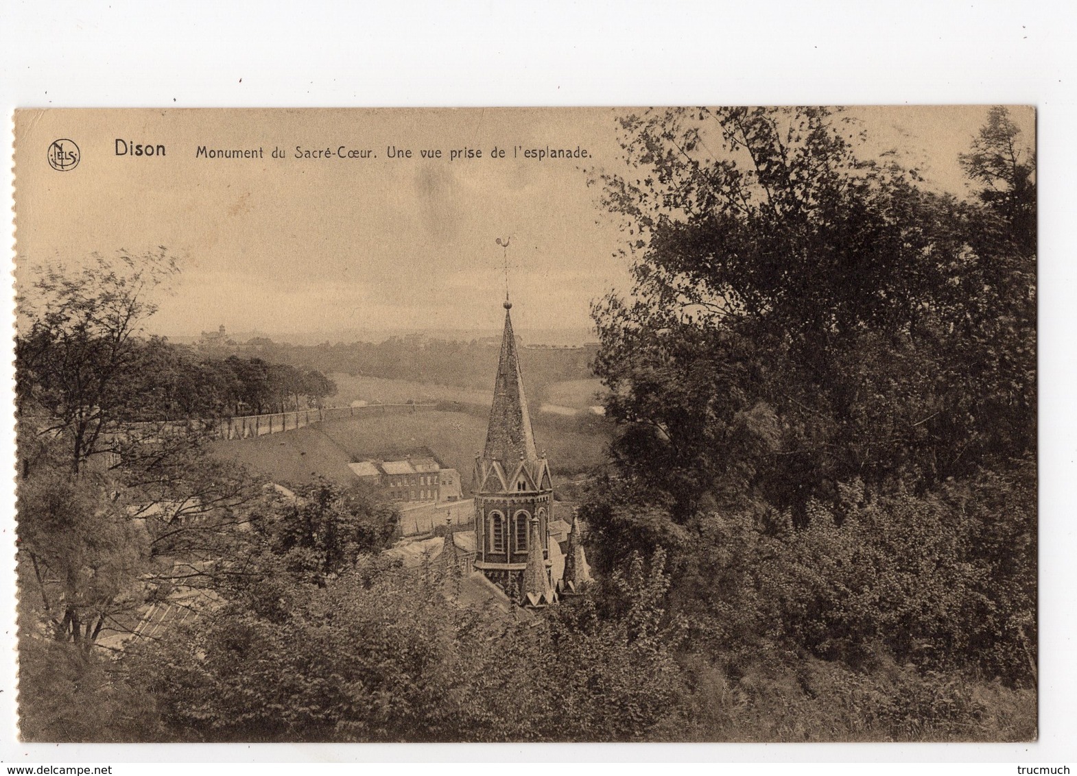 DISON - Panorama Du Sacré-Coeur - Dison