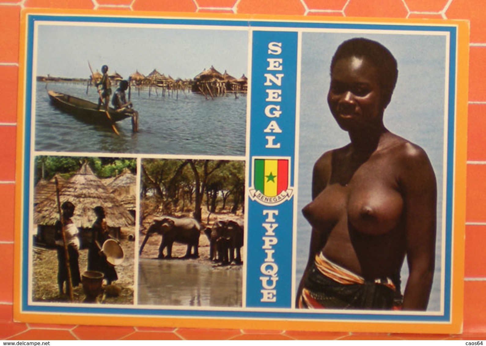 Senegal Typique Vedute Nudo Donna Elefante  CARTOLINA 1978 - Senegal