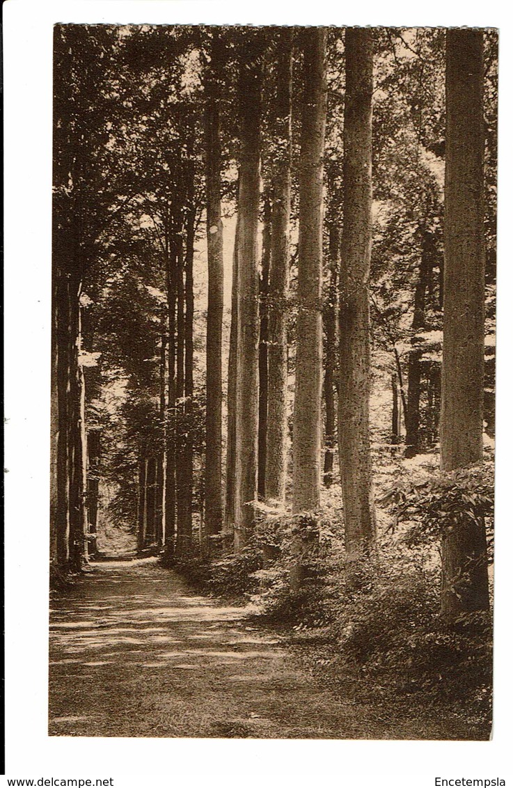 CPM - Carte Postale-Belgique -Gaesbeek - Allée Le Long Des Etangs-VM1248 - Lennik