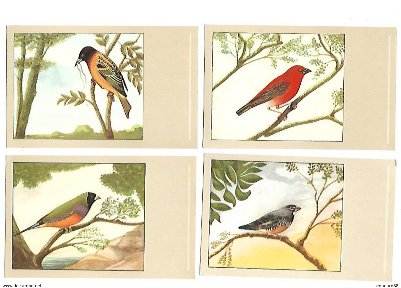 OISEAUX DESSINES MAGNIFIQUE LOT DE 34 CPA TOUTES SCANNEES A SAISIR - 5 - 99 Cartes