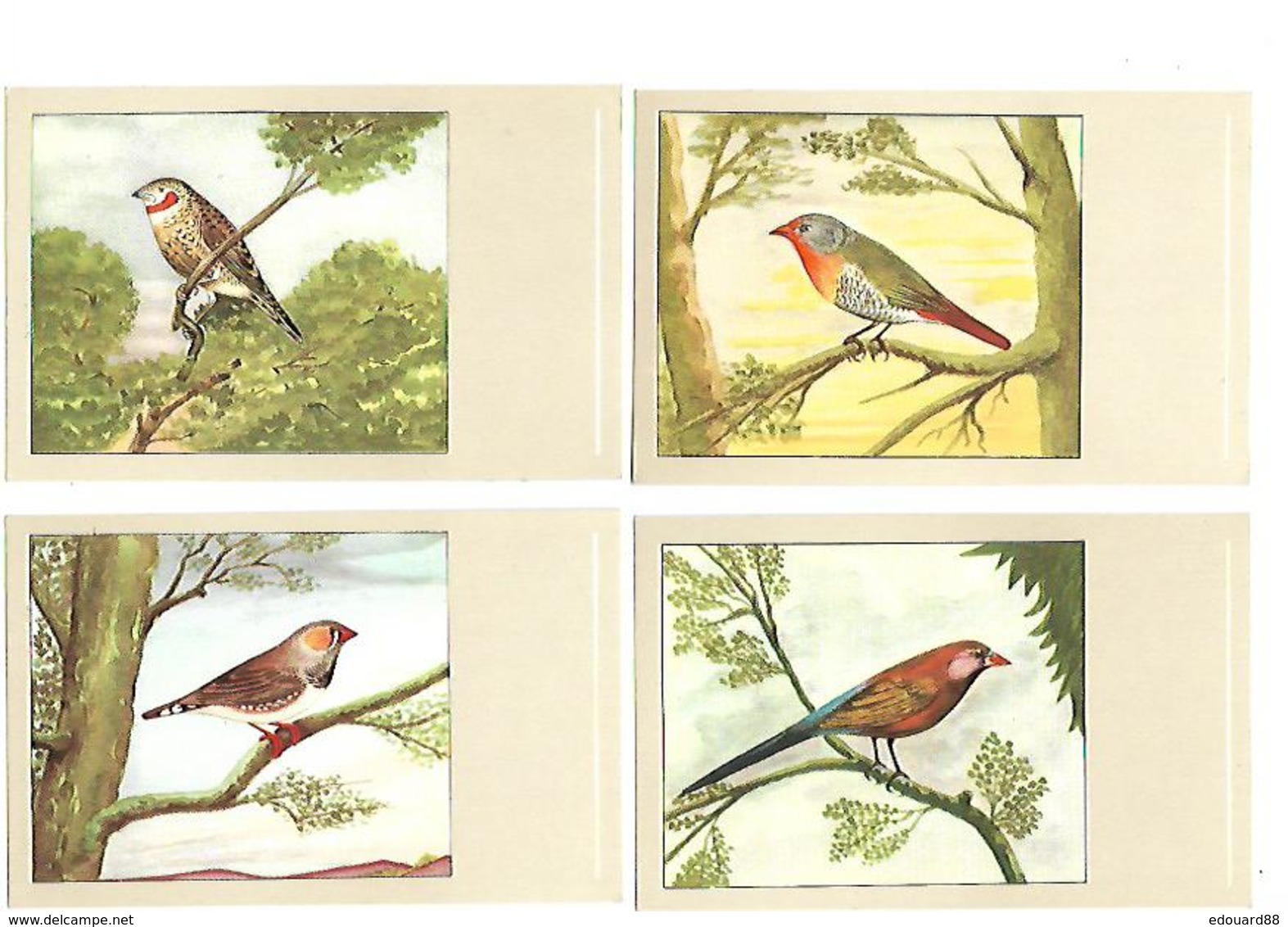 OISEAUX DESSINES MAGNIFIQUE LOT DE 34 CPA TOUTES SCANNEES A SAISIR