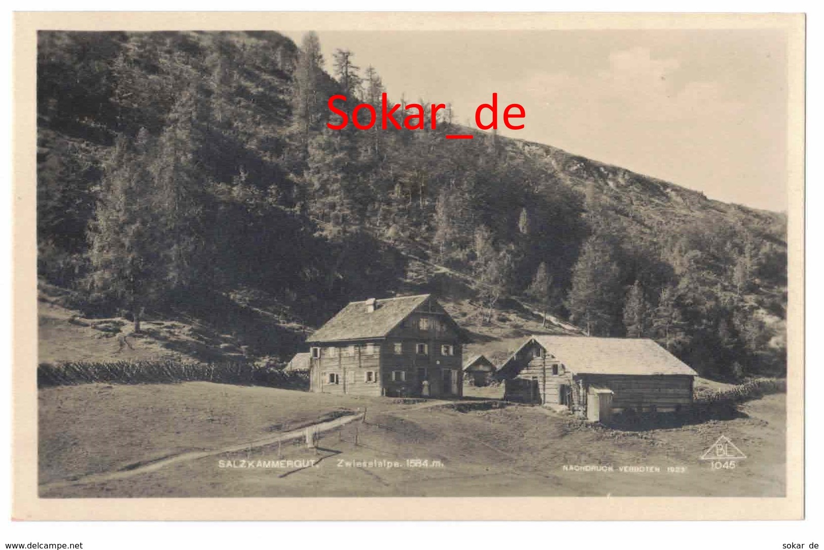 AK Salzkammergut, Zwieselalpe, Zwieselalm, Gosau, Österreich, Austria - Abtenau