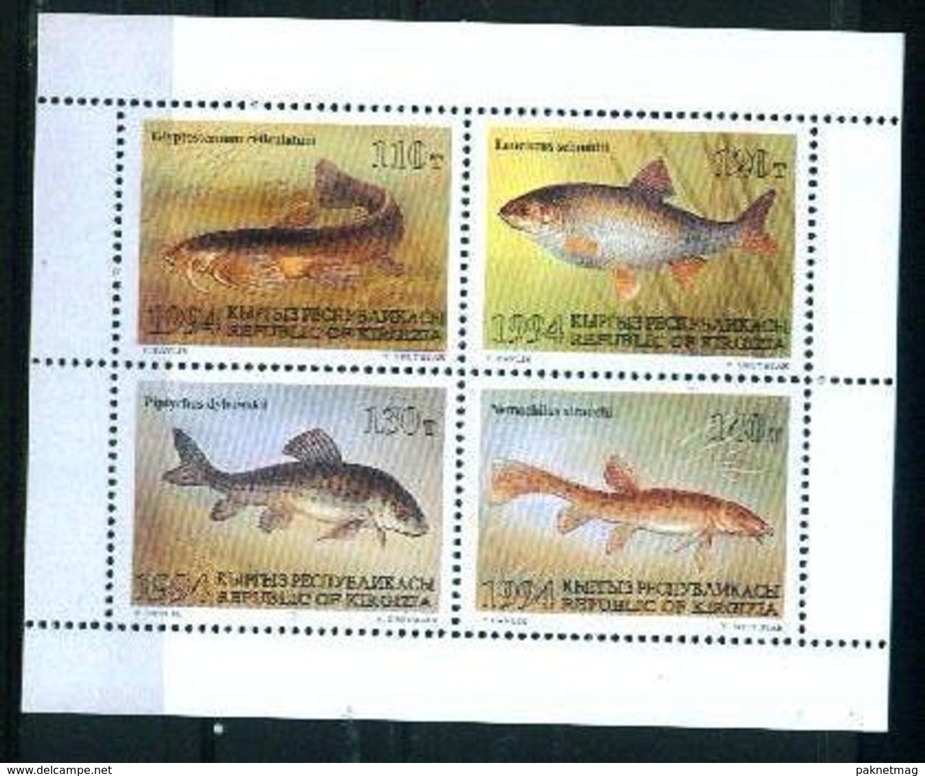 N10- See Life. Fish. Year 1994. - Fishes