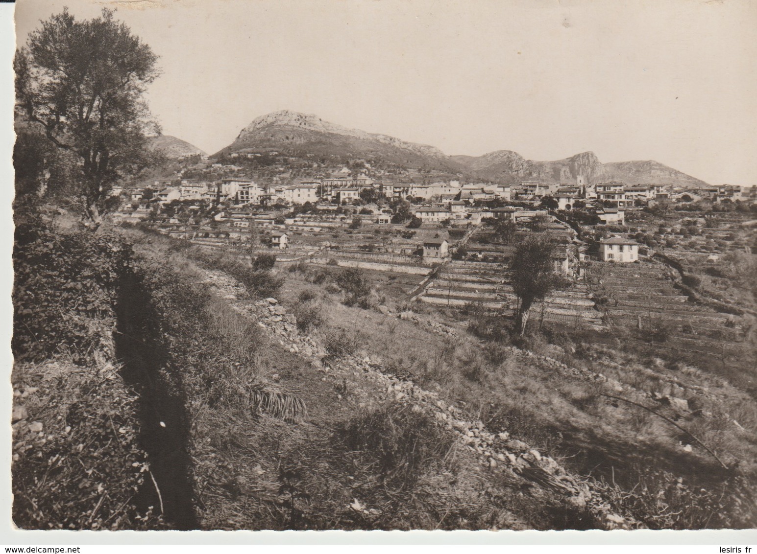 CP - PHOTO - VENCE LA JOLIE  - VUE GÉNÉRALE ET LES BAOUS - LA CIGOGNE - 06.157.21 - Vence