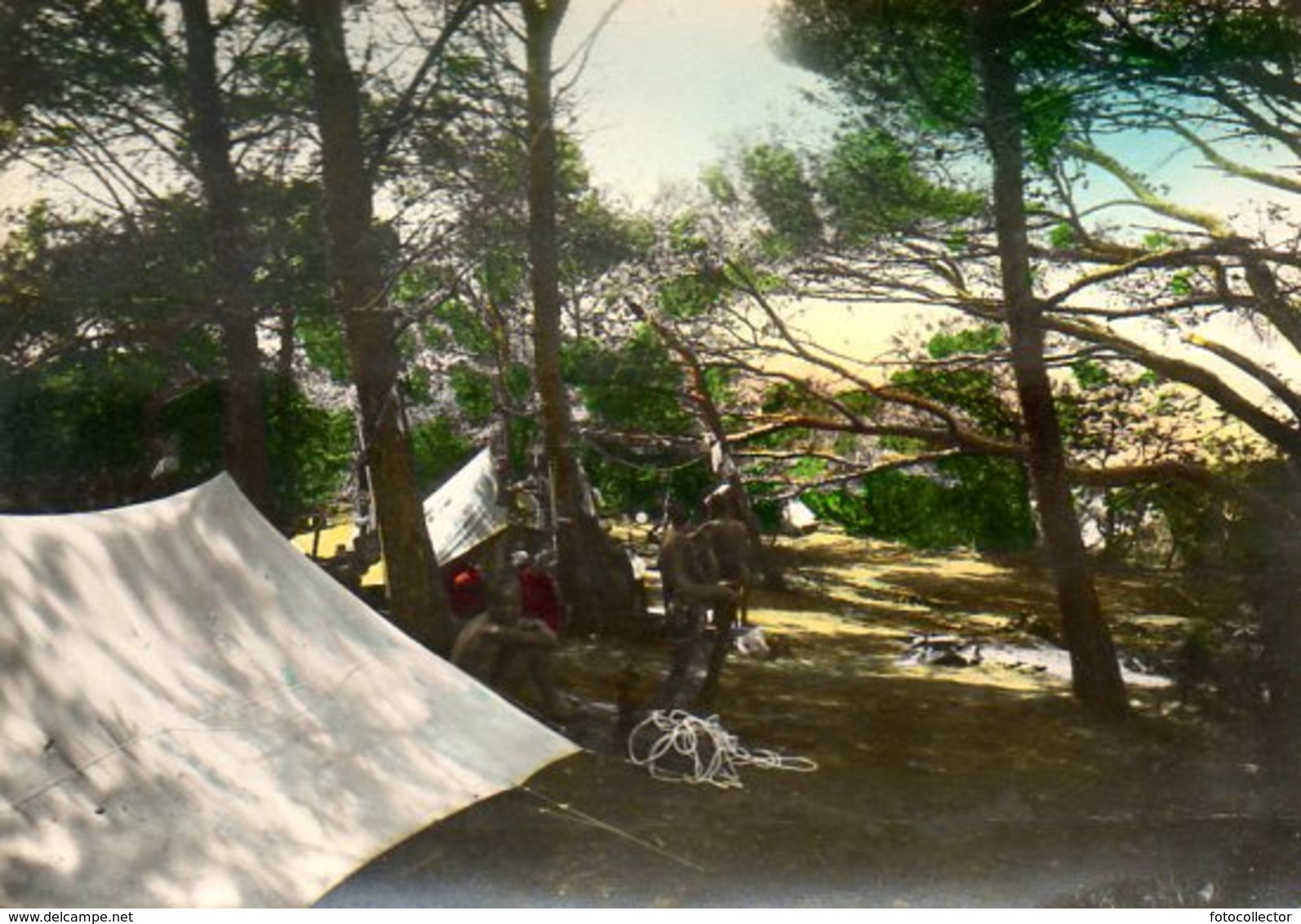 Hyères (83) : Camping à L'île Du Levant - Hyeres