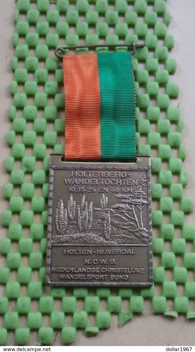 Medaille / Medal - Medaille - N.C.W.B Holten - Nijverdal ( Holterberg ) - The Netherlands - Altri & Non Classificati