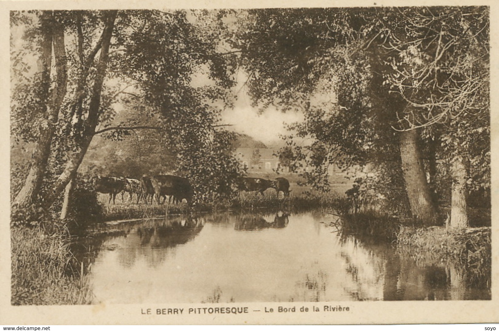 Berry Pittoresque  Paturage  Abreuvoir Bord De La Riviere Edit Lenormand Orleans - Elevage