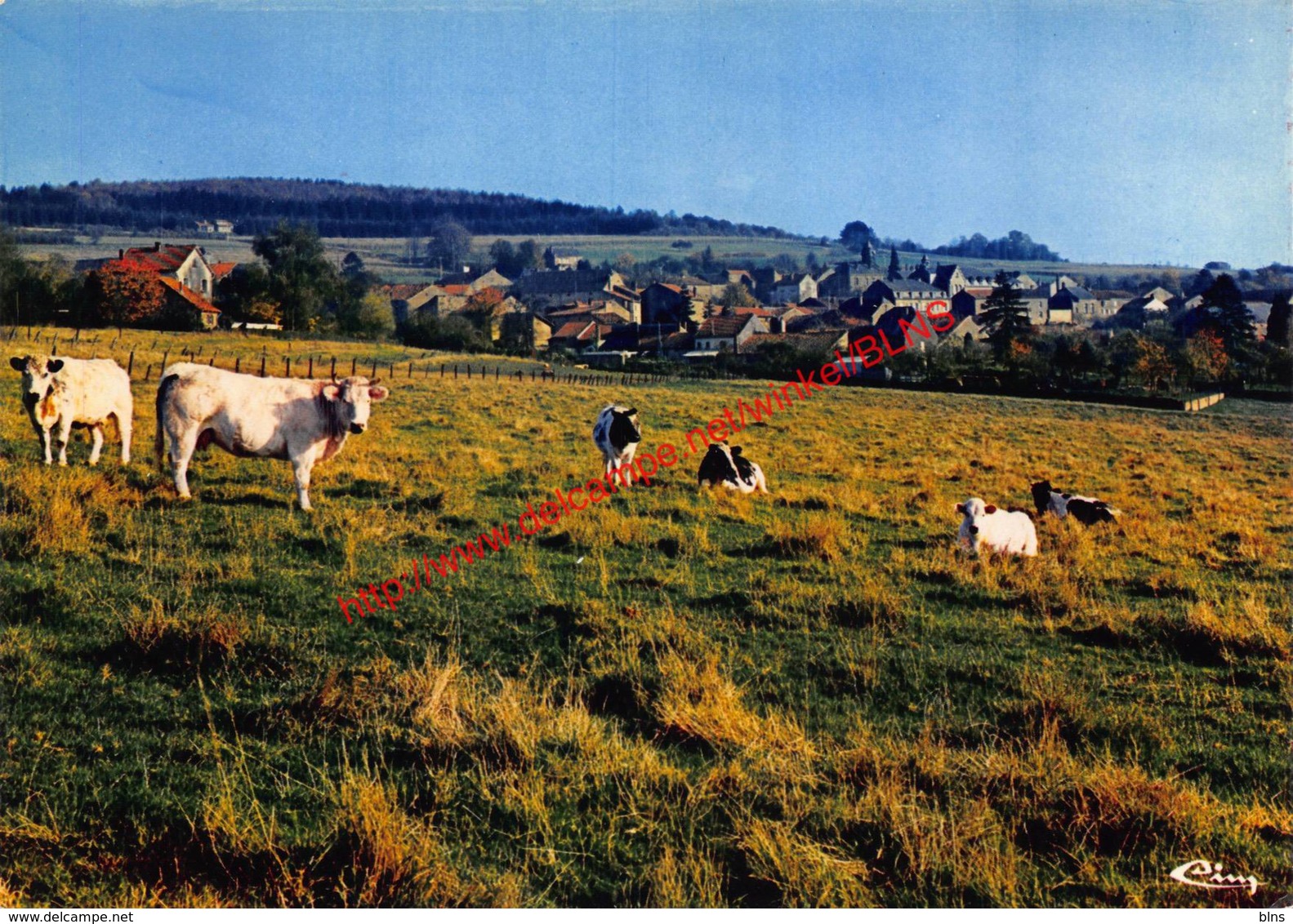 Panorama - Torgny - Rouvroy - Rouvroy