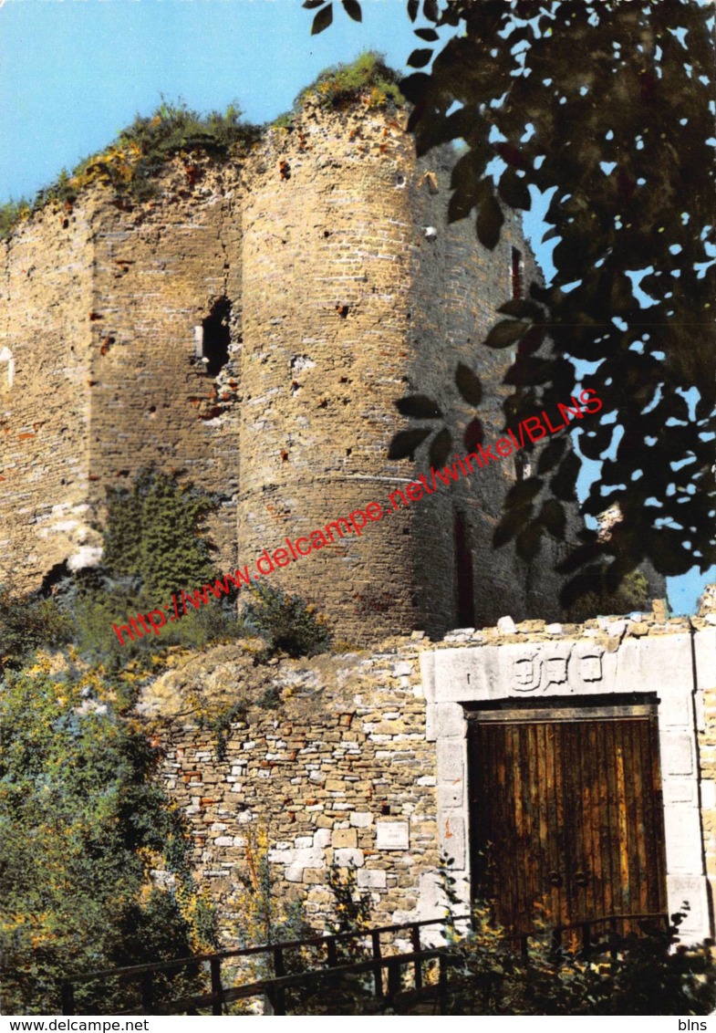 Ruines Du Château De Franchimont - Theux - Theux