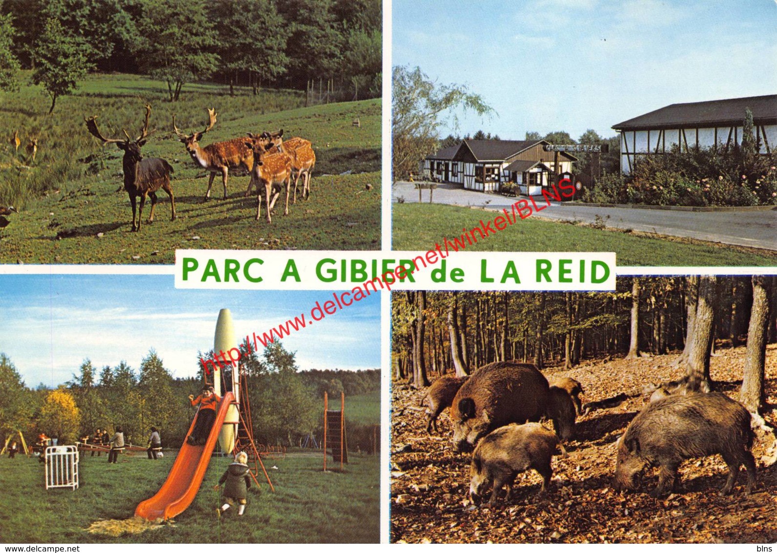 Parc à Gibier - La Reid - Theux