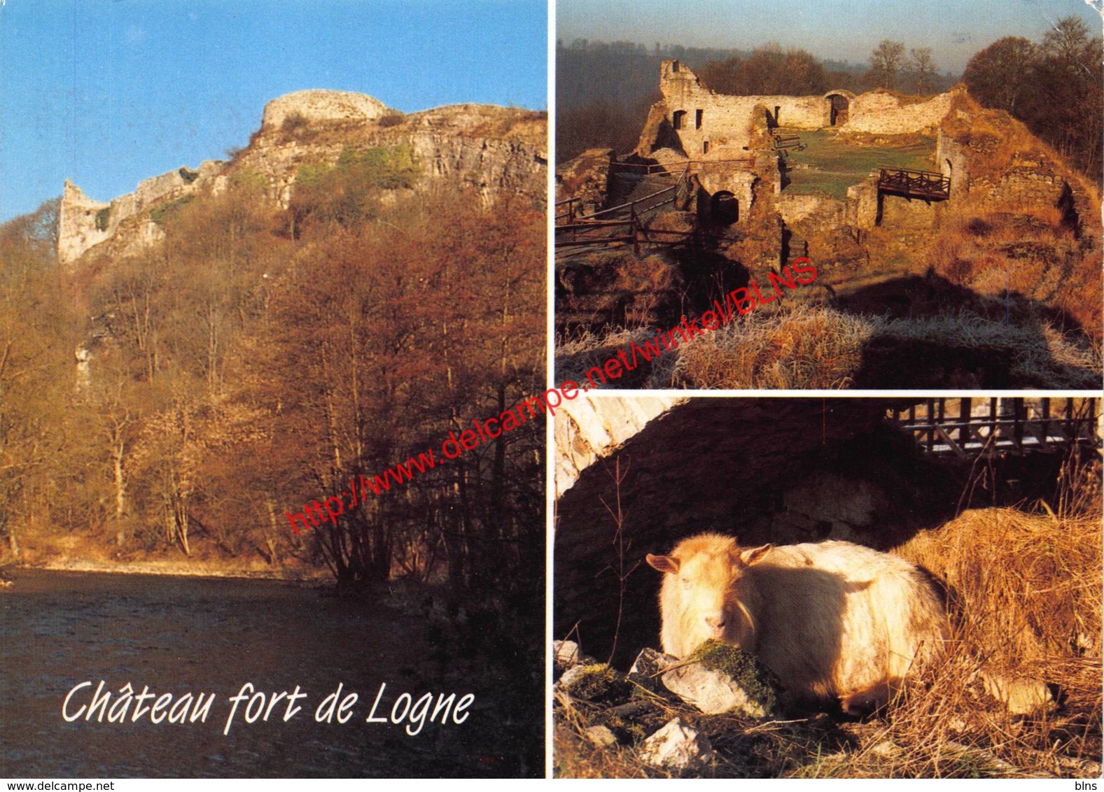 Château Fort - Logne - Ferrieres