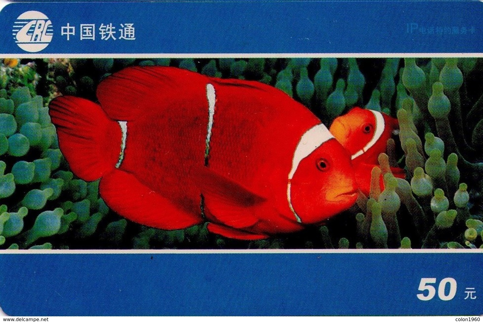 TARJETA TELEFONICA DE CHINA. PECES - SEAWATER FISH. G1-(3-2). (580) - Peces