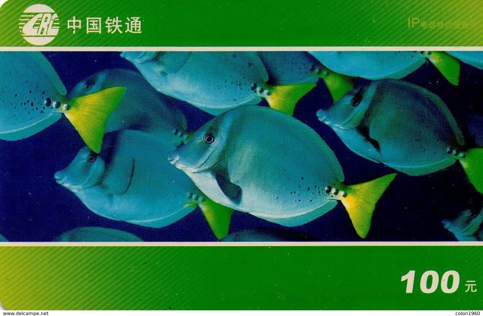 TARJETA TELEFONICA DE CHINA. PECES - SEAWATER FISH. G1-(3-3). (581) - Peces