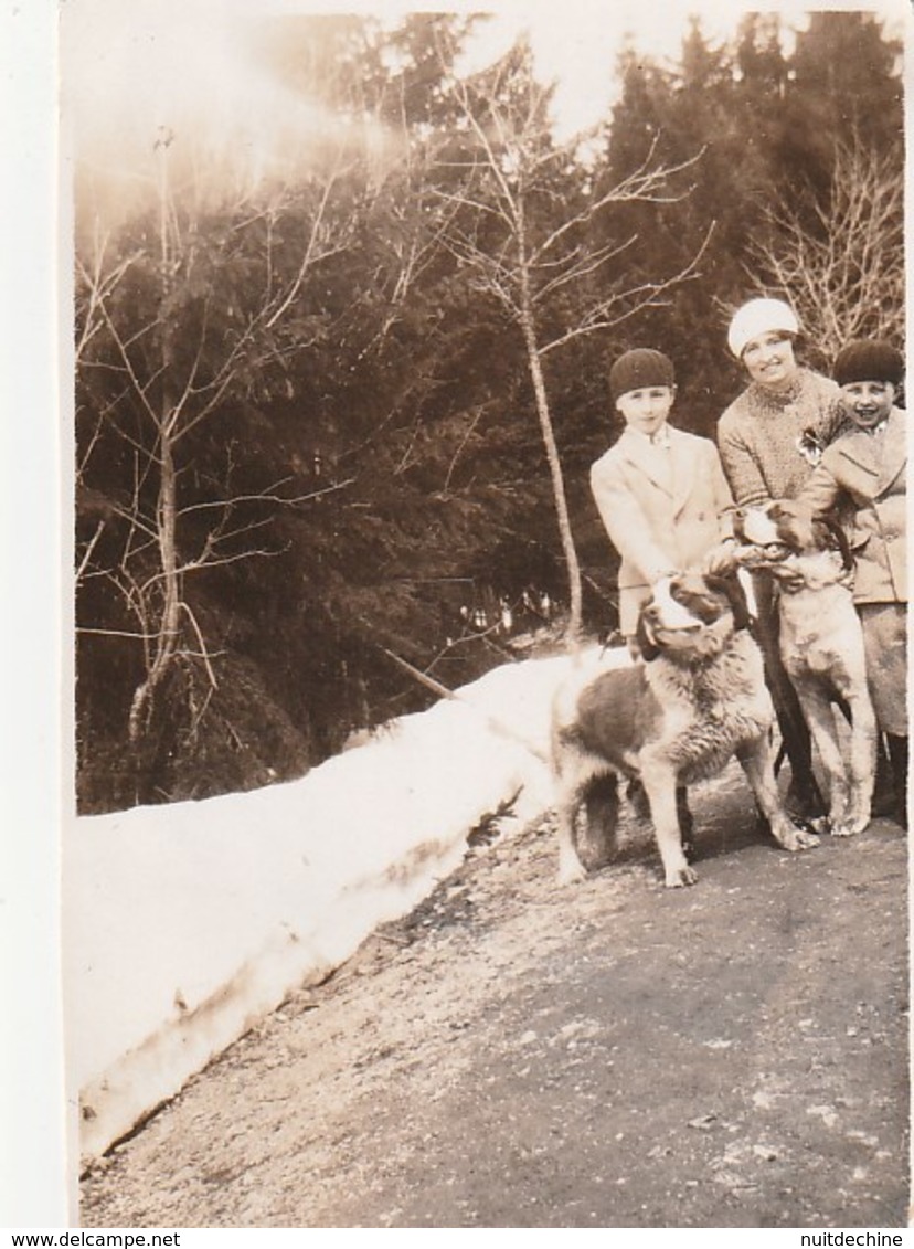 Photo Les Pléiades Suisse Chien Saint Bernard - Persone Identificate