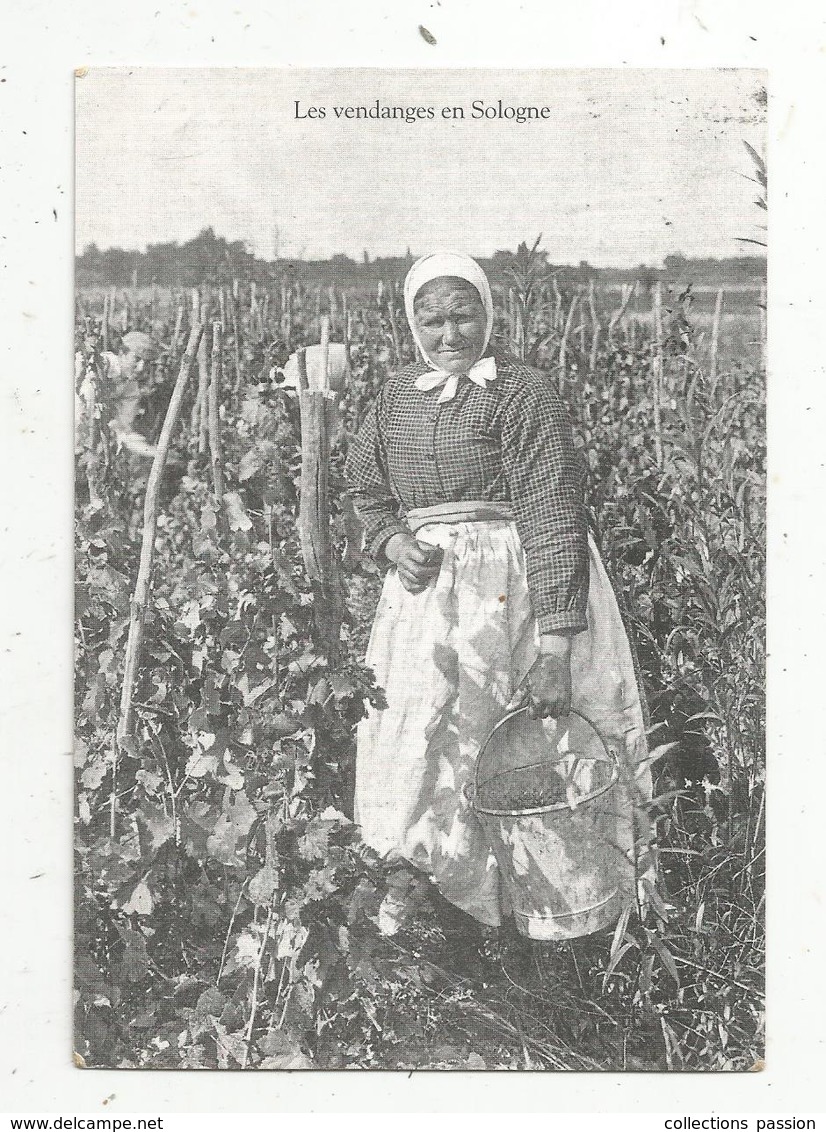 Cp, Vignes , LES VENDANGES EN SOLOGNE ,  COLL. LIGNEAU ,n° 3202 , Vierge - Vines