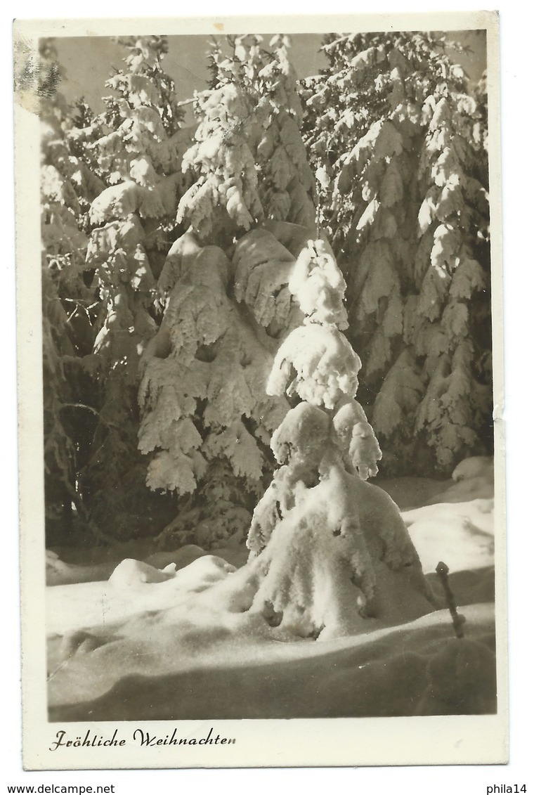 CARTE POSTALE ALLEMAGNE SAPINS SOUS LA NEIGE / FROHLICHE WEIHNACHTEN 1956 - Arbres