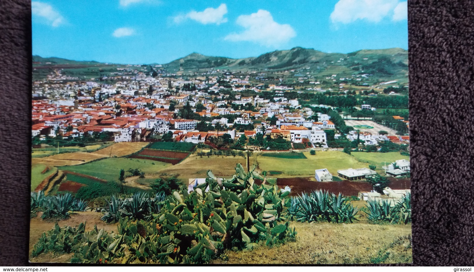 CPSM LA LAGUNA TENERIFE PANORAMIC VIEW VUE PANORAMIQUE VISTA PANORAMICA - Tenerife