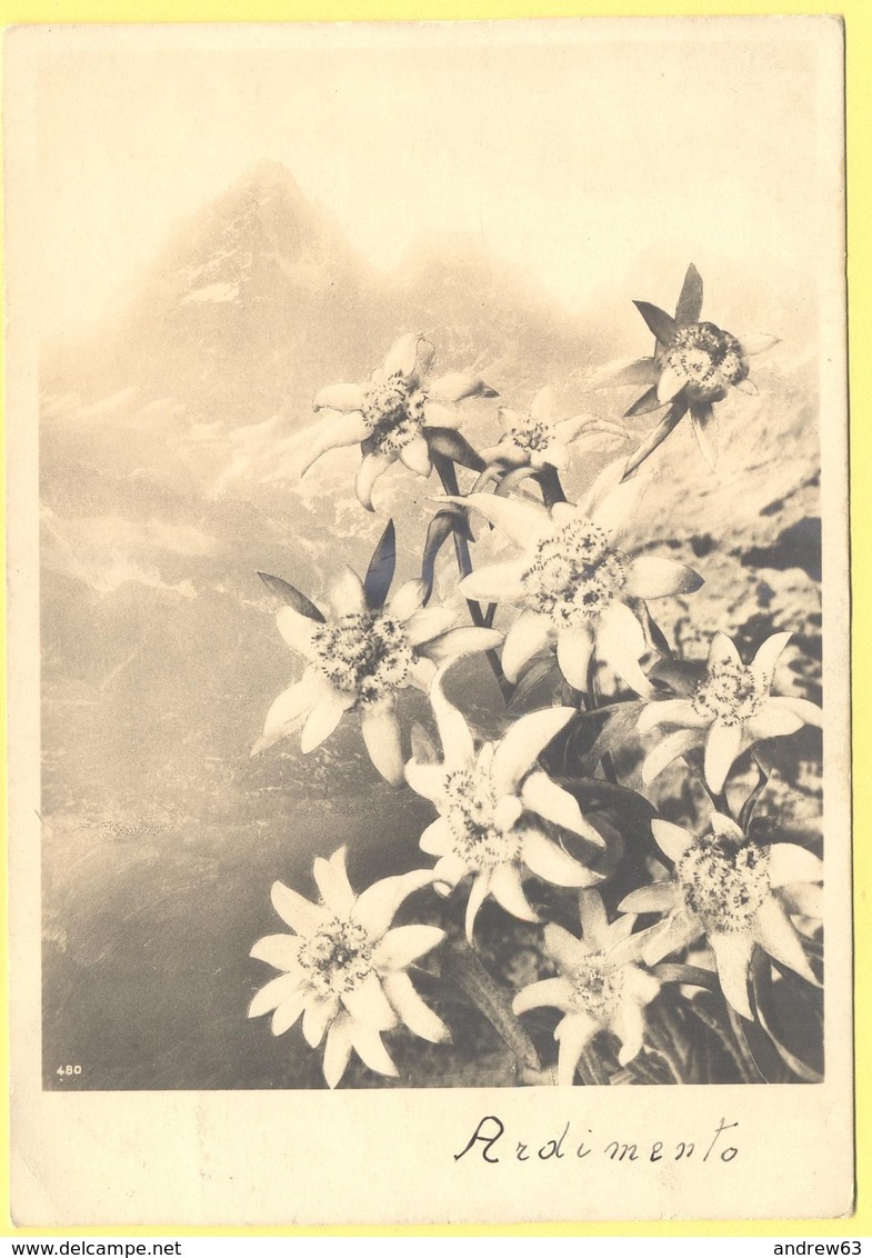 Tematica - Fiori - 1939 - 30c - Stelle Alpine - Stella Alpina - Ardimento - Viaggiata Da Coredo Per Modena - Fleurs