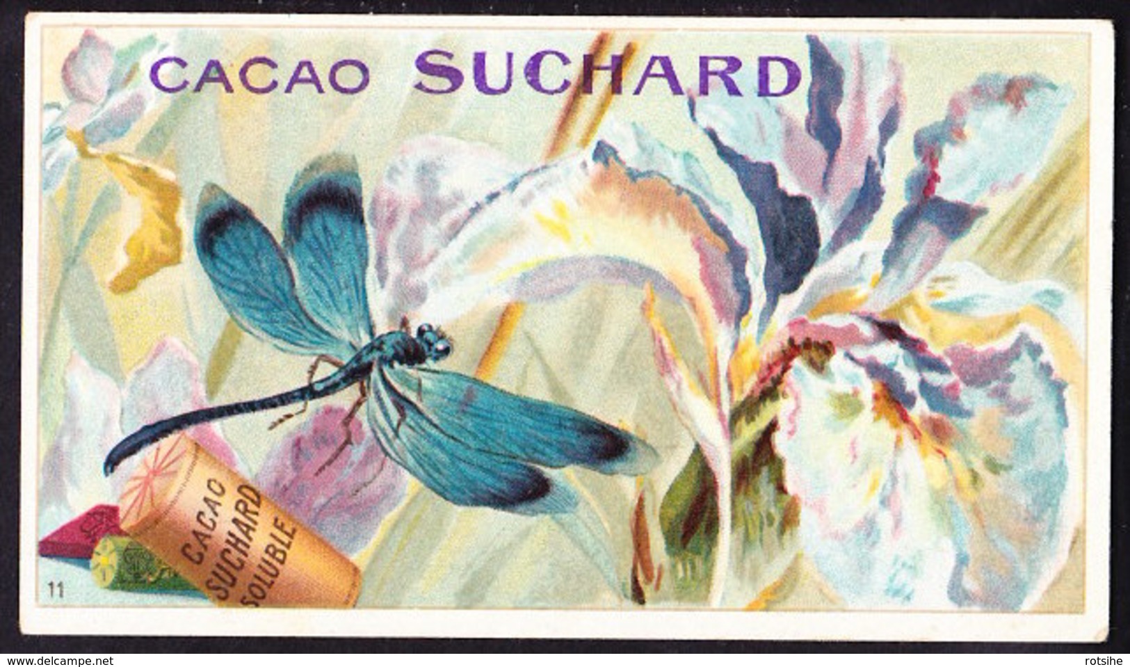 CHROMO Chocolat SUCHARD   Animaux    Libelle    Libel    Insects  Serie 163 - Suchard