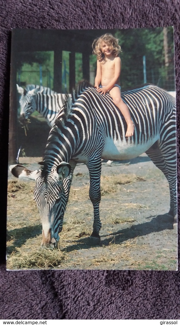 CPM ZOO DE BORDEAUX PESSAC ZEBRE MONTE PAR FILLETTE ED EDIVEL - Zèbres