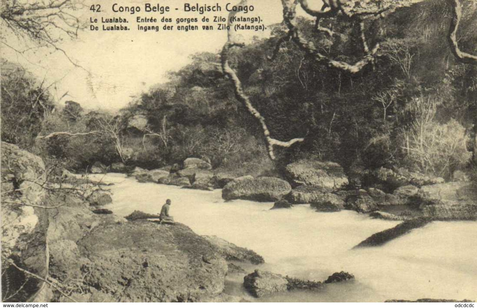 Congo Belge Le Luaiaba Entrée Des Gorges De Zilo (Katanga) RV Entier Postal - Congo Belge