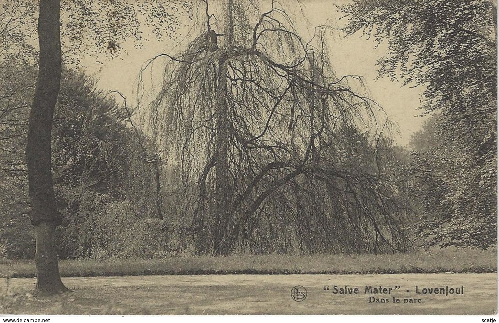 "Salve Mater"   -   Lovenjoul   -   Dans Le Parc.  -   Korbeek-Loo  1931  Naar   Astene - Bierbeek