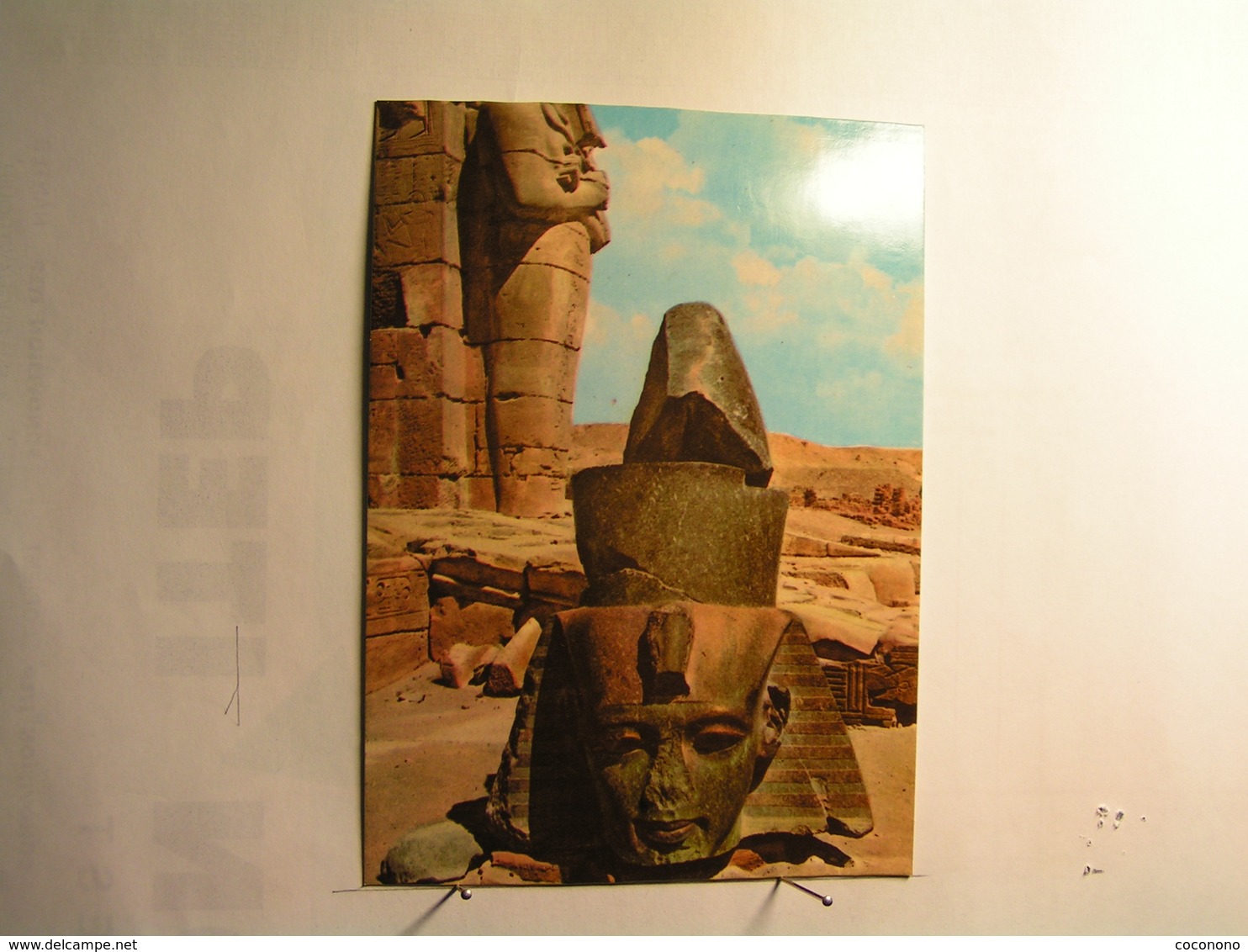 Colossal Head Of Ramses II In Ramesseum - Musées