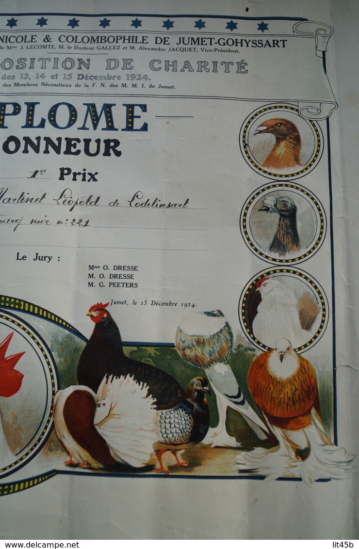 Avicole Et Colombophile,Pigeon,diplome De 1924,Jumet - Gohyssart,Martinet Léopold,54 Cm. Sur 40 Cm. - Diplômes & Bulletins Scolaires