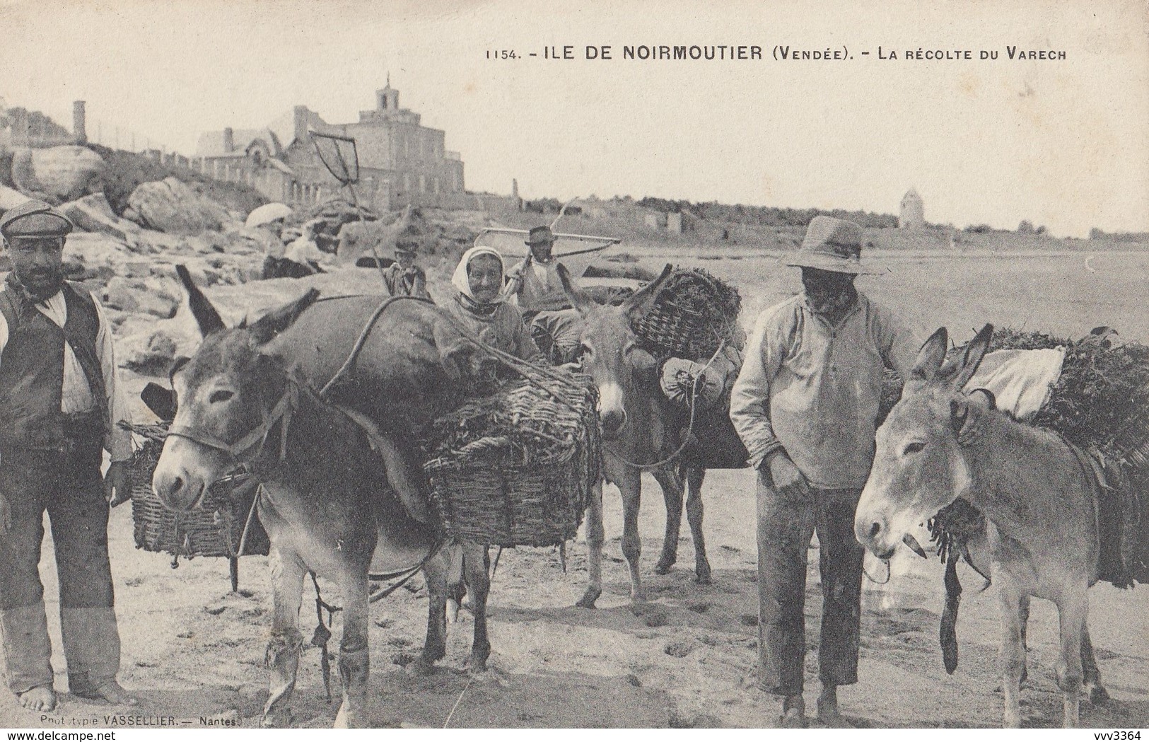 ILE DE NOIRMOUTIER: La Récolte Du Varech - Ile De Noirmoutier