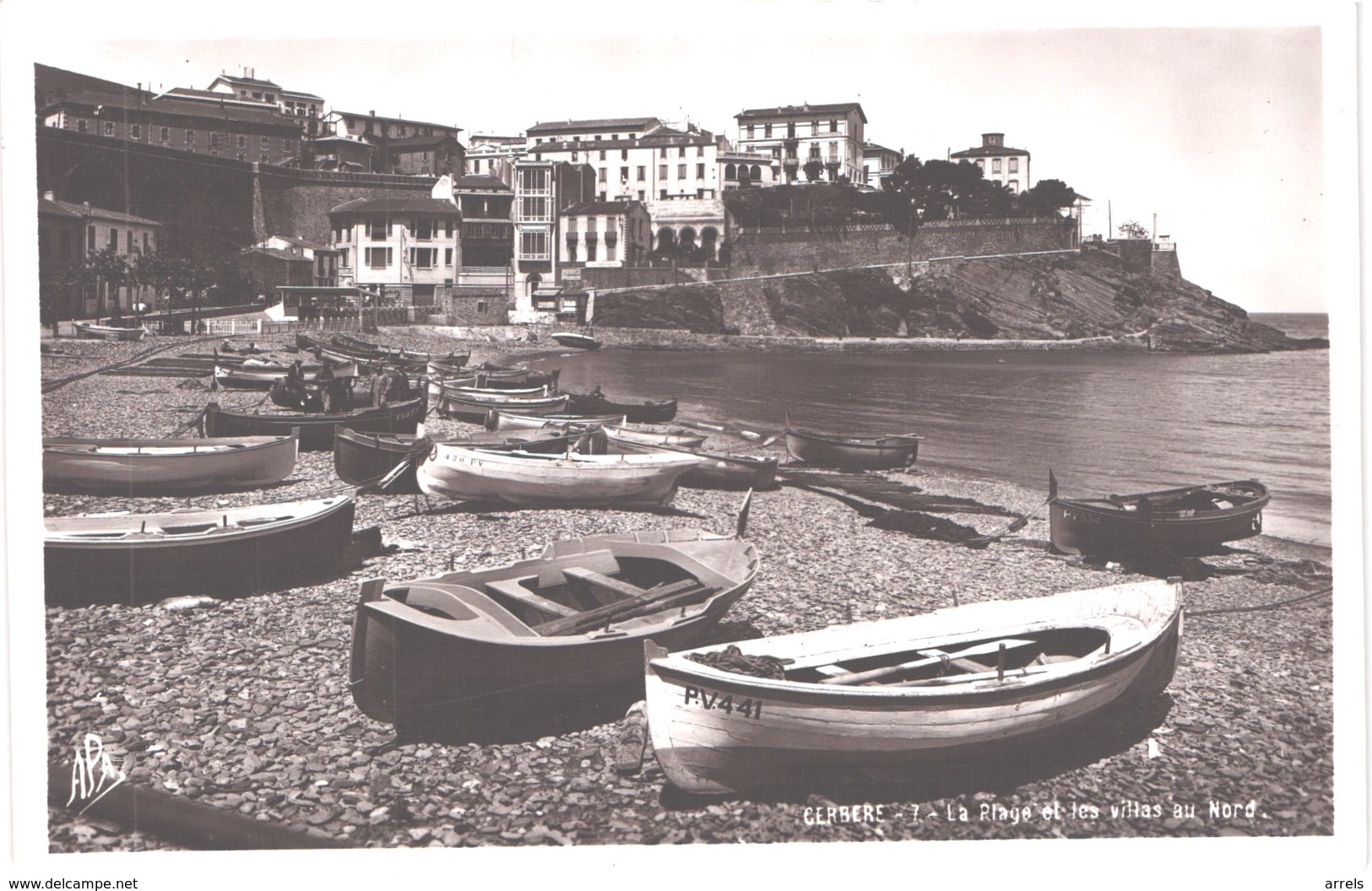 FR66 CERBERE - Apa 7 - Glacée - La Plage Et Les Villas - Belle - Cerbere