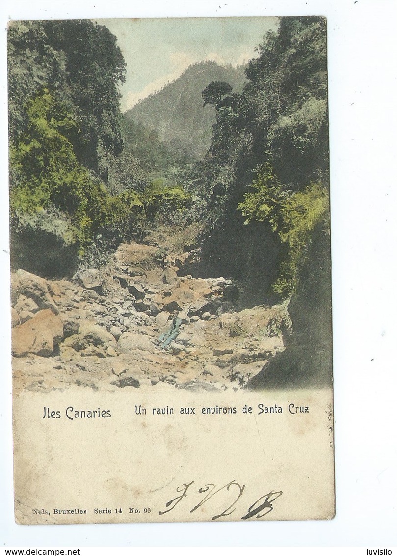 Un Ravin Aux Environs De Santa Cruz - Iles Canaries ( Nels Couleur Bruxelles Série 14 No 96 ) - Tenerife